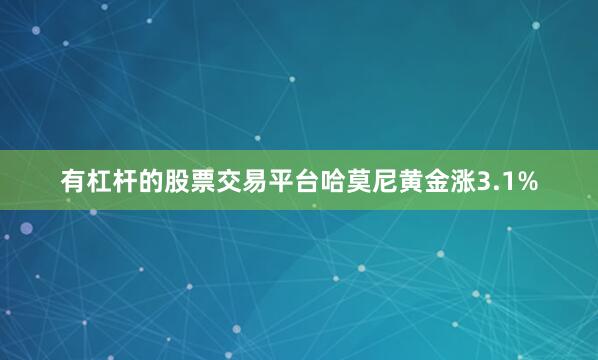 有杠杆的股票交易平台哈莫尼黄金涨3.1%